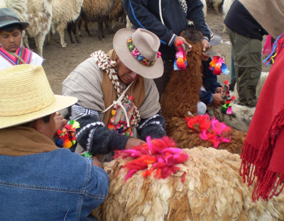 Salvaguardia del Patrimonio Cultural Inmaterial de las Comunidades Aymara de Bolivia, Chile y Perú. © Elias Ticona. 2008. Web UNESCO