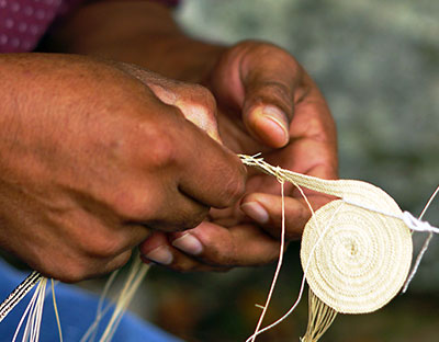 Procedimientos y técnicas artesanales de obtención de fibras vegetales para talcos, pintas y crinejas del sombrero pintao - Panamá. © MICI, 2015. Fuente: UNESCO